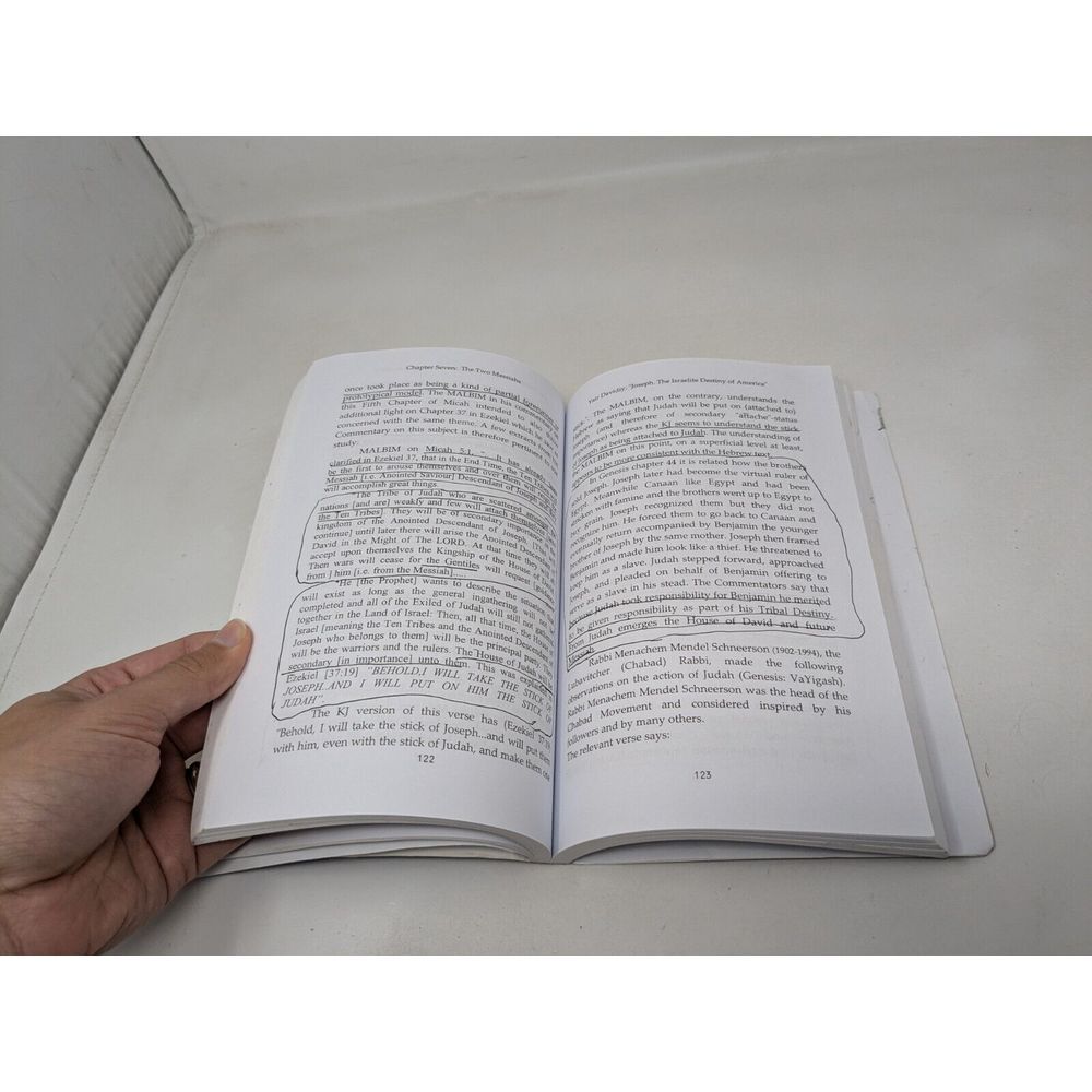 Joseph The Israelite Destiny Of America 2nd Edition 2001 Book Yair Davidi - Picture 10 of 15